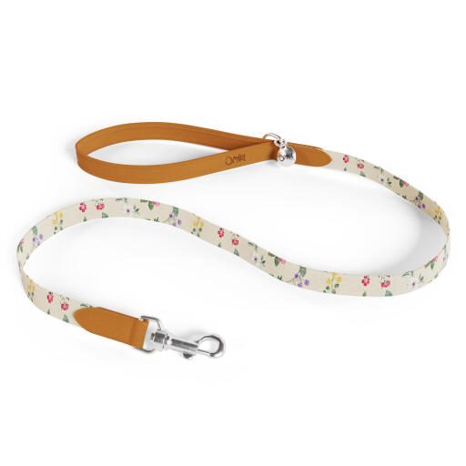 Laisse pour chien design morning meadow style by Omlet