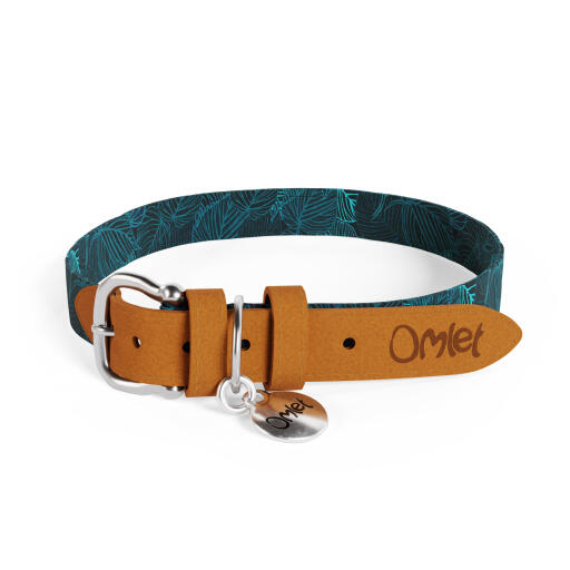 Collier de chien grand modèle