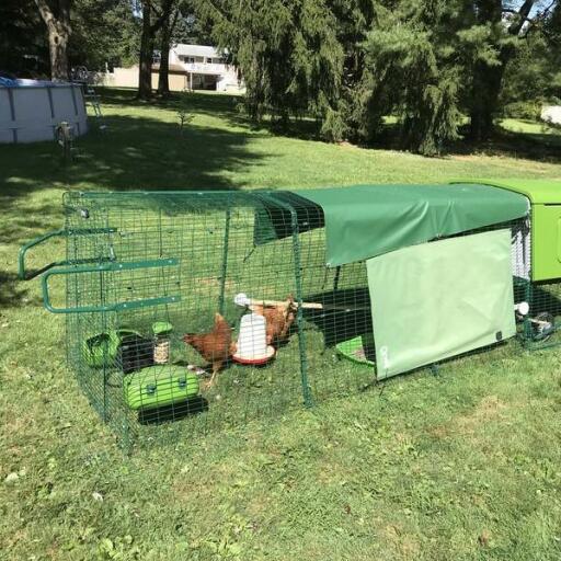 Eglu poulailler de Omlet avec roues et poignées de roulement