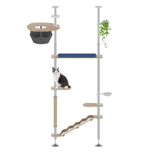 Freestyle arbre à chat intérieur, du sol au plafond, l'explorateur