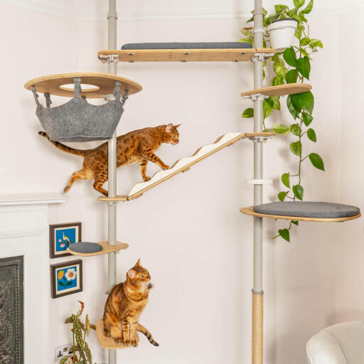 Freestyle arbre à chat intérieur