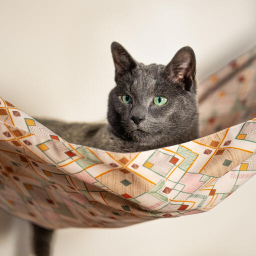 Chat regardant à l'extérieur d'une chaise longue pour chat d'intérieur Freestyle 