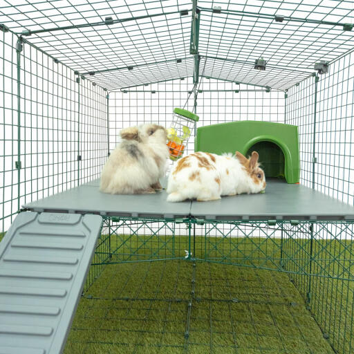Deux lapins qui grignotent dans le distributeur de friandises dans le parcours pour lapins Omlet.