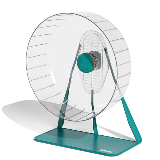 Roue de hamster avec support