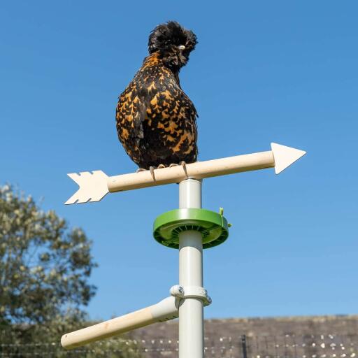 Poule perchée sur le sommet de la girouette accessoire de jouet pour poule pour le perchoir universel sur pied