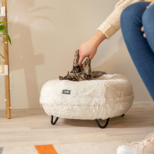 Une femme caressant un chat qui se trouve sur le lit pour chat Maya dobut.