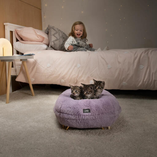 Jeune fille regardant ses chatons qui dorment dans leur lit de chat en forme de beignet moelleux