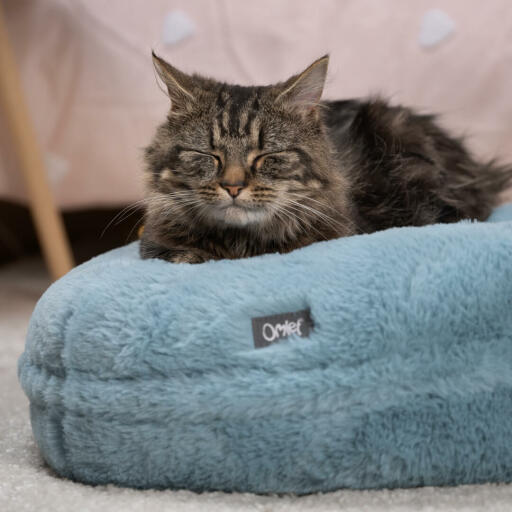 Chat qui dort sur un panier pour chat bleu ultra doux