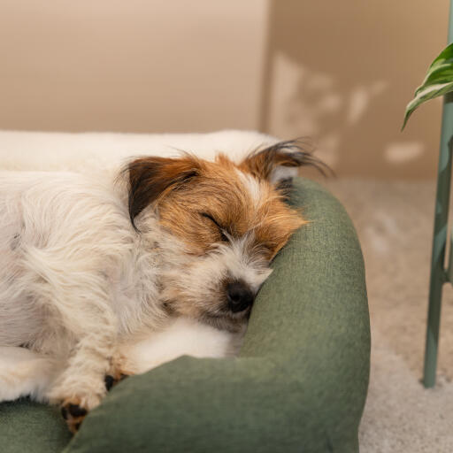 Siège auto de Luxe pour chien - SMALL - coussin pour chien