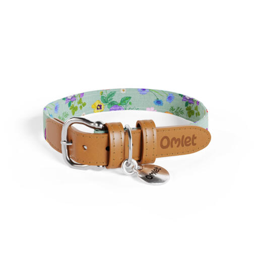 Collier pour chien moyen en imprimé floral vert et multicolore gardenia sage par Omlet.