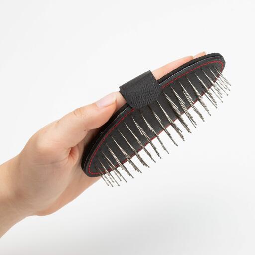 Brosse à chien mikki palm