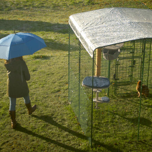 Un chat dans son catio avec une couverture résistante sous la pluie