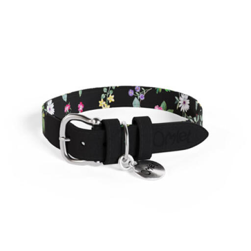 Collier pour chien midnight meadow designer