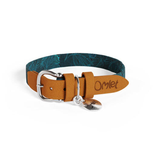 Collier pour chien medium nature trail designer