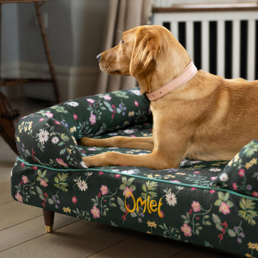 Un retriever se reposant dans le pré de minuit lit pour chien en traversin