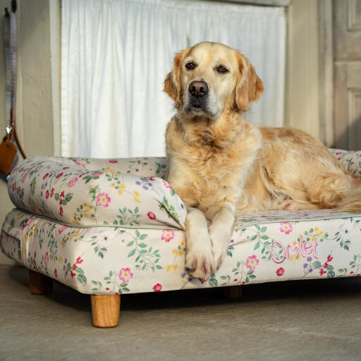 Un Golden retriever se reposant sur le traversin du pré du matin