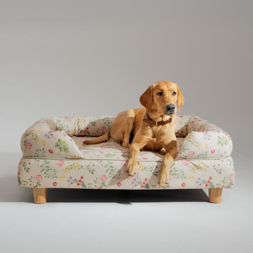 Un retriever se reposant dans la prairie du matin lit pour chien en traversin