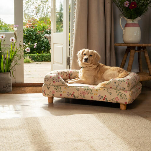 Un retriever miniature Golden se reposant dans la prairie matinale lit pour chien en traversin