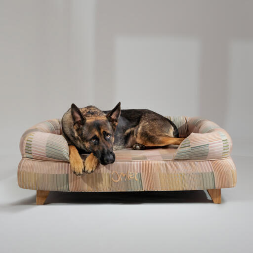 Un berger allemand se reposant dans le lit pour chien à traverses naturelles 