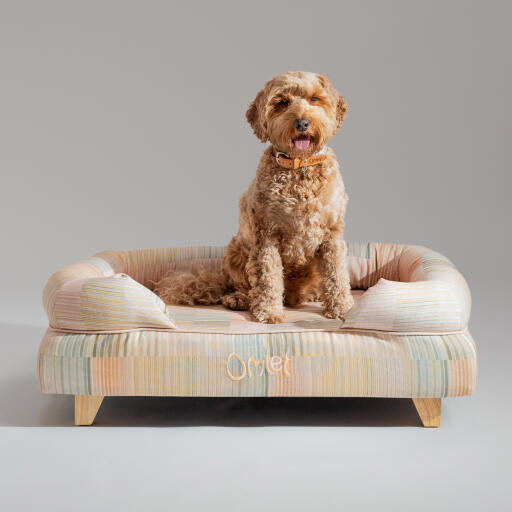 Un Goldendoodle s'est assis sur le lit pour chiens pawsteps natural bolster