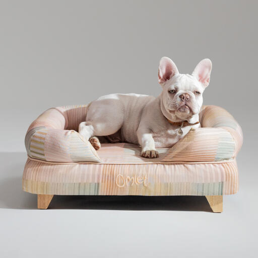 Un bouledogue français se relaxant dans le lit pour chien à traversin naturel pawsteps