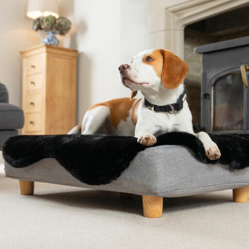 Surmatelas en fausse peau de mouton noir et pieds ronds en bois pour le lit de chien Topology 