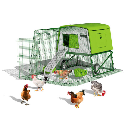 Eglu Cube grand poulailler portable