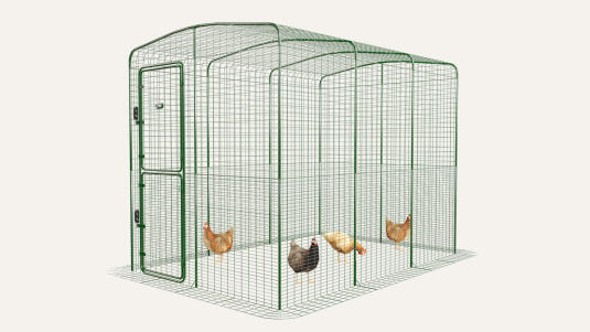 Grand enclos pour poules d’Omlet