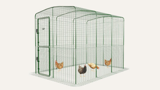 Enclos pour poules