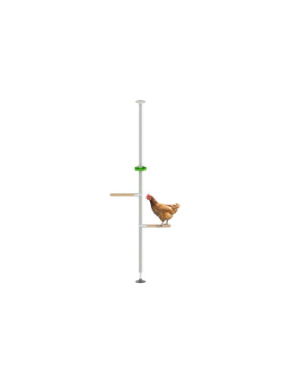 Perchoir pour poules PoleTree – Le kit Économique – 1,70 - 2,15 m