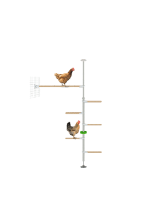 Perchoir pour poules PoleTree – Le kit Endurance – 1,70 - 2,15 m