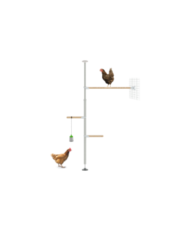 Perchoir pour poules PoleTree – Le kit Exercice – 1,70 - 2,15 m