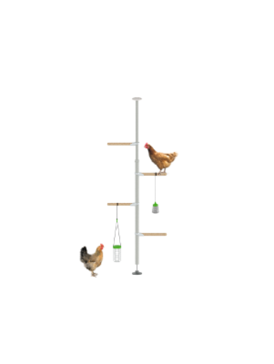 Perchoir pour poules PoleTree – Le kit Amusement – 1,70 - 2,15 m