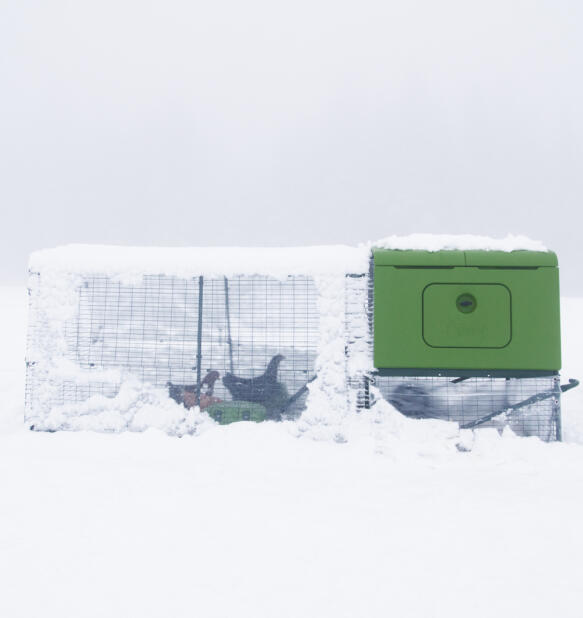 poulailler Eglu Cube dans la neige