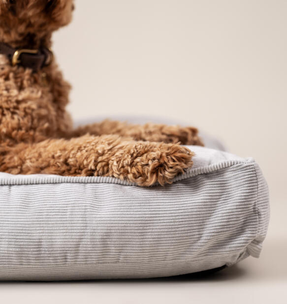 Gros plan d’un chien se reposant sur un coussin pour chien en imprimé Corduroy Pebble.