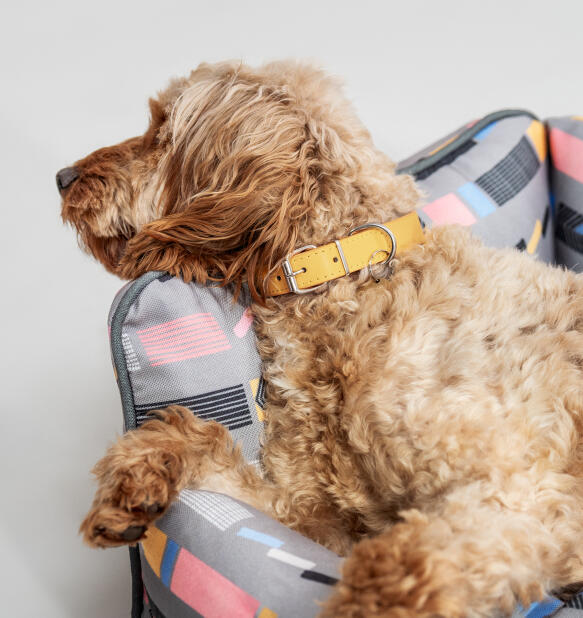 Lits confortables pour chiens par Omlet
