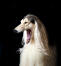 Un chien afghan américain GorGeomontrant son énorme gueule