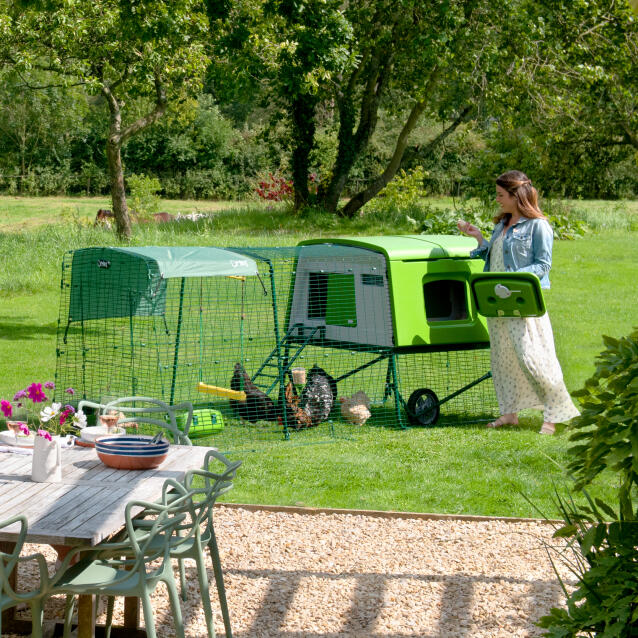 Femme s'introduisant dans le Eglu Cube poulailler pour récupérer les œufs dans un jardin