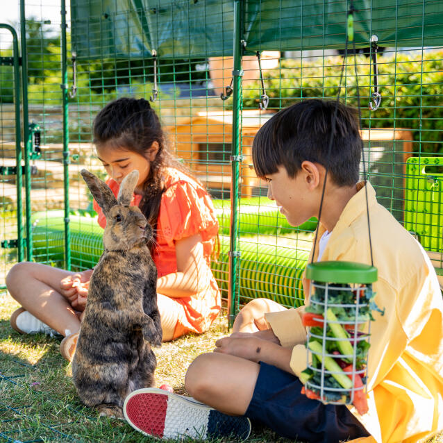 Enfants et lapins jouant à l'intérieur d'un grand parc à lapins extérieur