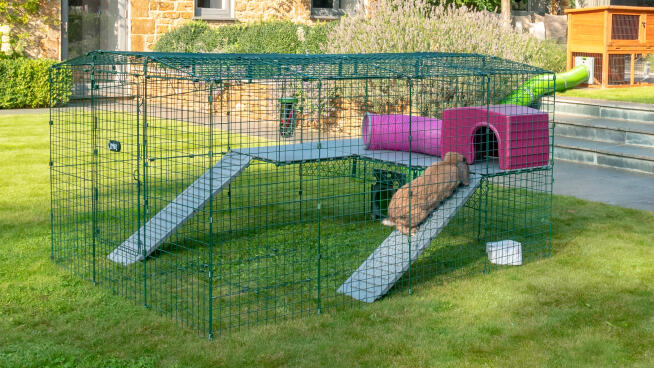 Enclos et parcs de jeu pour lapins Zippi