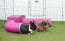 Lapins dans Zippi parc pour lapins avec abri et tunnel de jeu violet Zippi