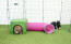 Lapin en vert Zippi abri et tunnel de jeu