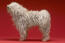 Un komondor se tenant debout, montrant ses incroyables longues jambes