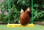 Les poulets adorent s'asseoir sur la balançoire à poulets