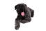 Un bouvier des flandres en peluche couché