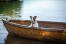 Un adorable petit jack russell terrier se relaxant dans un bateau après une baignade