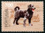 Un timbre d'un chien d'eau portugais