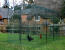 Un poulailler dans le jardin avec deux poules. Un poulailler dans le jardin avec deux poules.