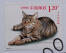 Un timbre de chine avec un draGon li cat imprimé dessus
