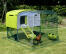 Eglu Cube poulailler avec des poules dans un parcours avec un couvercle transparent sur le parcours